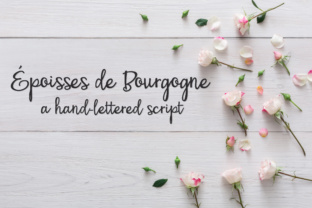 PN Époisses De Bourgogne: A Bouncy Script Typeface for Branding